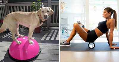 16 Apartment Friendly Ways To Smash Your Fitness Goals In 2026