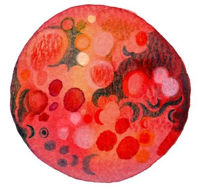 Why is Mars red if it’s cold and do hedgehog spikes fall out? The kids’ quiz