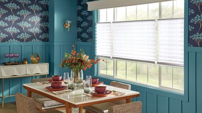 Homeowners Urged to Do 'The Great Air Reset' on December 27 – Strip Festive Pollutants Fast in 3 Simple Steps