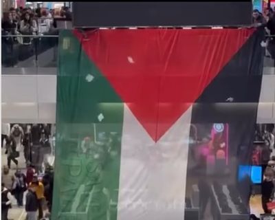 Boxing Day chaos as Palestine Action protest sparks major disruption at Westfield Stratford