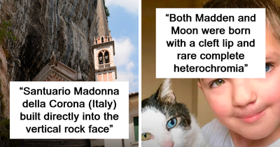 If You Are Hungry For New Knowledge And Facts About The World, Here Are 50 Posts That You Might Enjoy