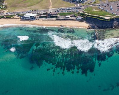 Man charged with displaying Nazi hate symbol after showing off tattoos at NSW beach