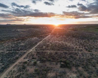 ‘When you plant something, it dies’: Brazil’s first arid zone is a stark warning for the whole country