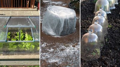 What does it mean to 'overwinter plants' and why is it so important to help gardens survive the cold season?