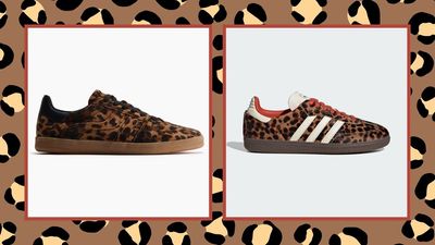 H&M just released a pair of leopard print trainers, and they remind me so much of Adidas Sambas