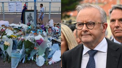Families Of Bondi Terror Attack Victims Call On Anthony Albanese For Royal Commission