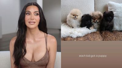 PETA Tells Kim K ‘Puppies Aren’t Plushies’ After She Gave Each Kid Their Own Dog