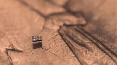 World’s smallest autonomous robots are 'smaller than a grain of salt,' cost one penny apiece — researchers expect new micron-scale fully-programmable robots to be used in medicine, microscale manufacturing, and other areas