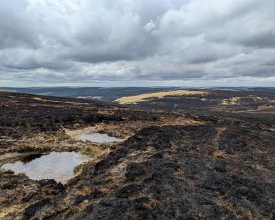 Heat, drought and fire: how extreme weather pushed nature to its limits in 2025
