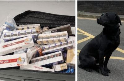 Detective dog Doris sniffs out £10k haul of illegal cigarettes and food in raids on American-style candy shops