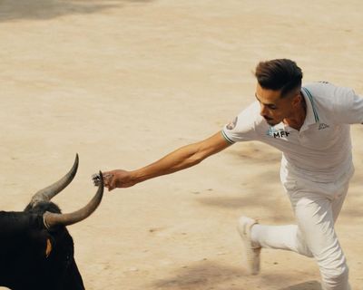 A French Youth review – bullfighters grapple with the horns of valour and acceptance