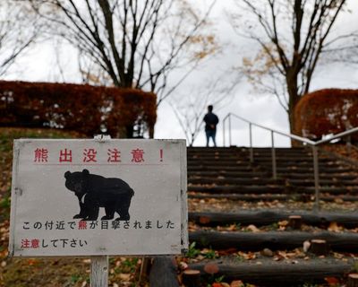 Japanese town reeling from year of record bear encounters