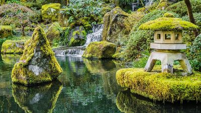 Horticultural Experts Reveal 5 Defining Features of a Japanese Garden, and the Simple Ways You Can Add Them for a More Serene Outside Space