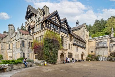 Visitors turned away from record-breaking Christmas tree after ‘unprecedented’ numbers showed up