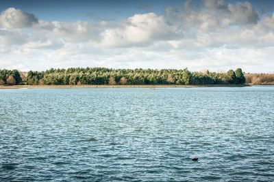 Police investigate ‘serious incident’ after plane crashes into reservoir