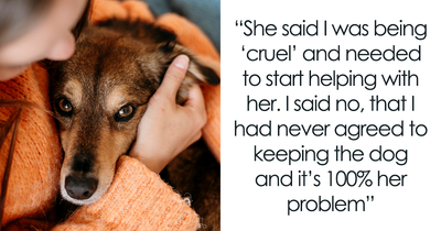 Wife Brings Home Stray Dog Against Hubby’s Wishes, Mad When He Refuses To Play Fetch With The Mop