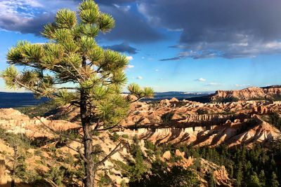 Last chance to swerve Trump’s $100 per person surcharge for top US National Parks