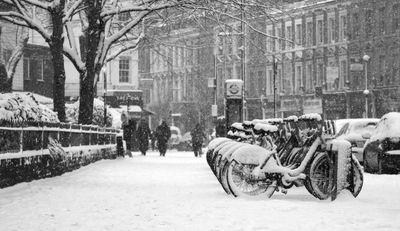 Met Office Snow Warning: Scotland Braced for 12-Inch Flurries on New Year's Day