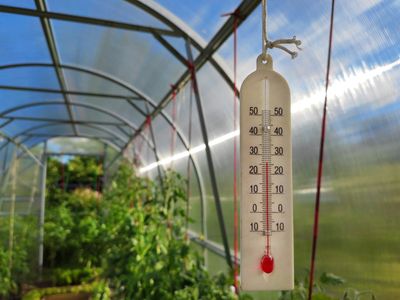 Is Your Garden Prepared for Rapid Temperature Swings?