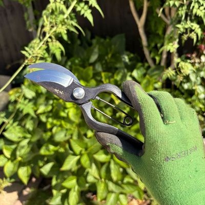 Don’t throw your secateurs away just yet – these are the products I’ll be using in 2026 to refresh my garden tools