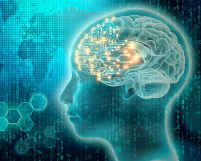 We must take control of AI now, before it’s too late