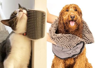 Pet Parent Upgrades That Make Living With Furballs Feel Luxurious