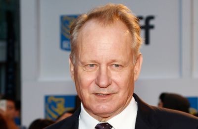The biggest behemoth in the cinema industry is Netflix, says Stellan Skarsgard
