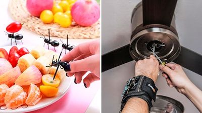 65 Weird-As-Hell Things That Are So Damn Cheap & Clever