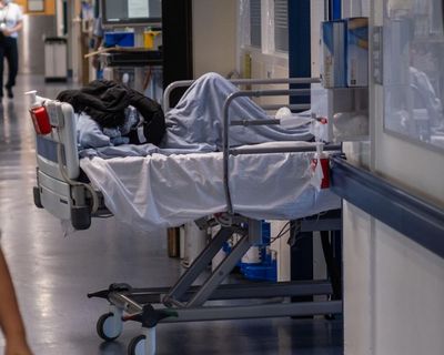 A&Es in ‘big trouble’ because of ‘normalised’ corridor care, says leading UK medic
