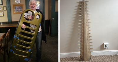 61 Pics Of The Most Bizarre Things People Received As Christmas Gifts