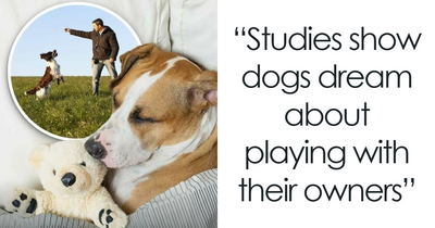“Positivity Recommended”: 92 Wholesome Facts That Might Bring Some Sunshine To Your Day