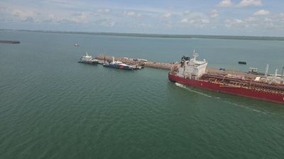 Divers brave crocs in search for body seen in water