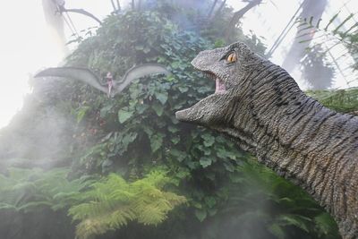 Kids left in tears as families turned away from immersive Jurassic World show at the door