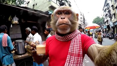 Indian AI Monkey Channel Bandar Apna Dost Pulls in $4.25M as 'AI Slop' Floods YouTube