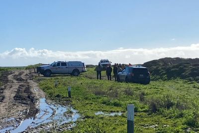 Veteran Swimmer Found Dead After Disappearance at Sea; Police Report Potential Shark Attack