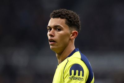 Crystal Palace agree deal with Tottenham to sign Brennan Johnson