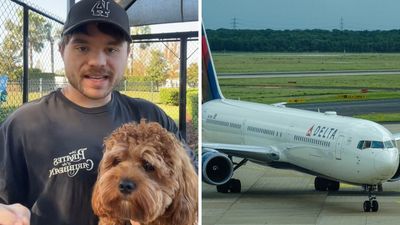 ‘This is why there are so many fake service dogs at the airport’: Tampa man calls out Delta after getting stranded with dog