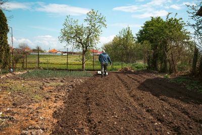 Why You Should Rethink Tilling Your Soil This Year