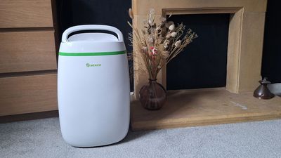 What are the pros and cons of using a dehumidifier in the winter?