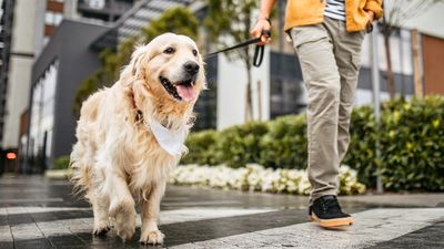 I Asked ChatGPT for the Easiest Side Hustles That Make Over $500 a Week