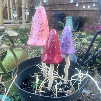 Only the coolest gardeners have a set of ‘Tinkling Toadstools’ – they earned me serious brownie points when I gifted a set to my sister