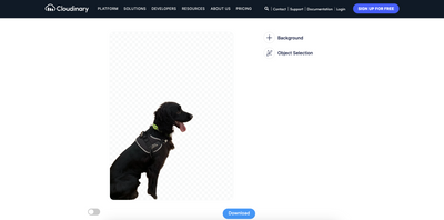 Remove.bg Alternatives: Best & Worst Options [Tried & Tested]