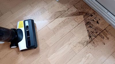 I loved my Dyson wet floor cleaner until I tried this cheaper, smarter alternative