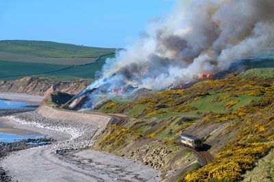 Ten English fire services tackled record number of grass, forest and crop fires in 2025
