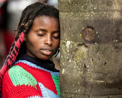 EU legislation intended to fight deforestation has been effectively ‘dismantled’