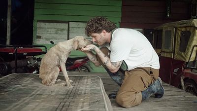 German influencer on New Year's fireworks: 'We're collectively causing animal suffering'