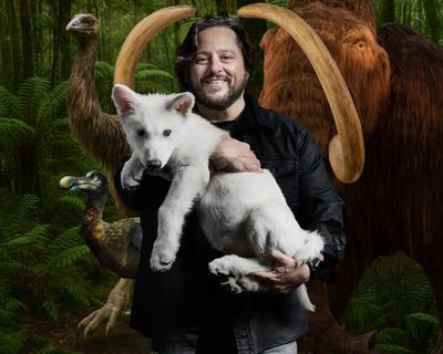 ‘They didn’t de-extinct anything’: can Colossal’s genetically engineered animals ever be the real thing?