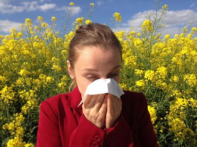 Why Seasonal Allergies and Hay Fever Symptoms Are Getting Worse: Changes You Should Know