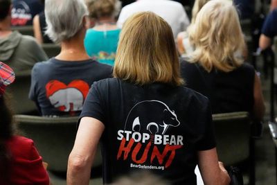 ‘Heartbreaking’: Florida wildlife groups decry state-sanctioned bear hunt