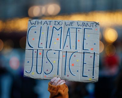 Greenwashing, illegality and false claims: 13 climate litigation wins in 2025